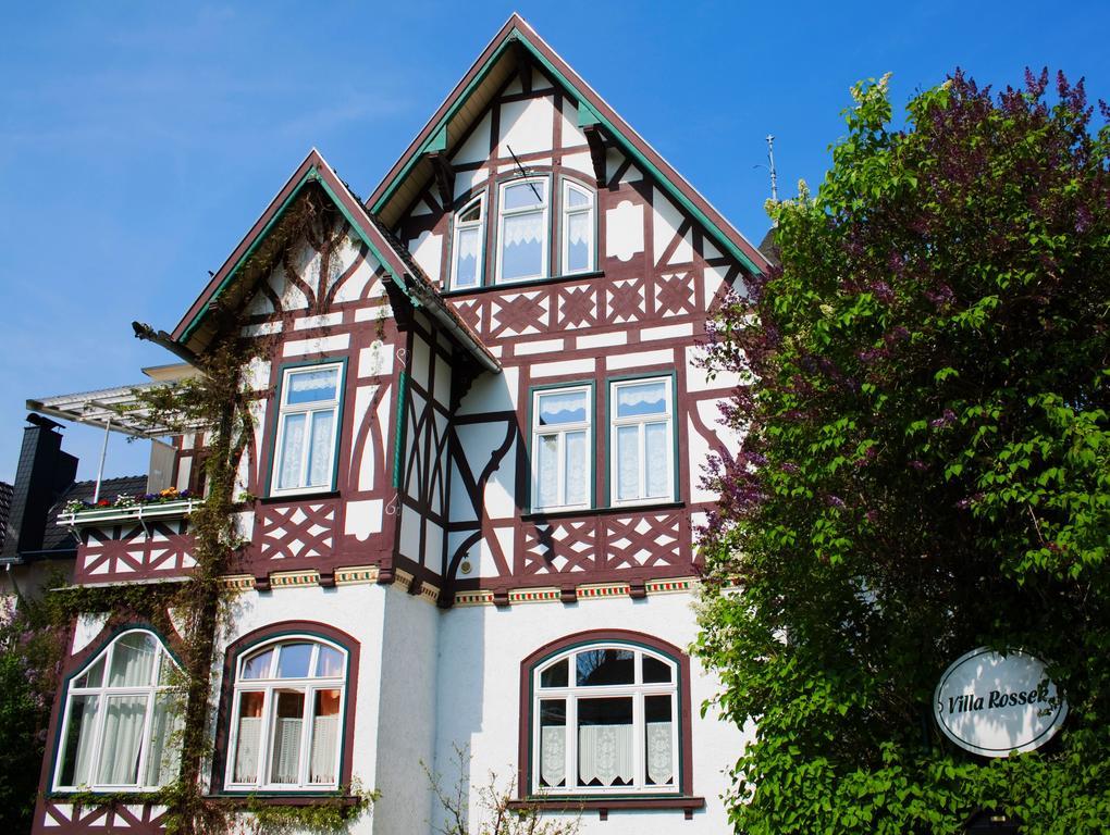 Hotel Villa Rossek Bad Liebenstein Exteriér fotografie